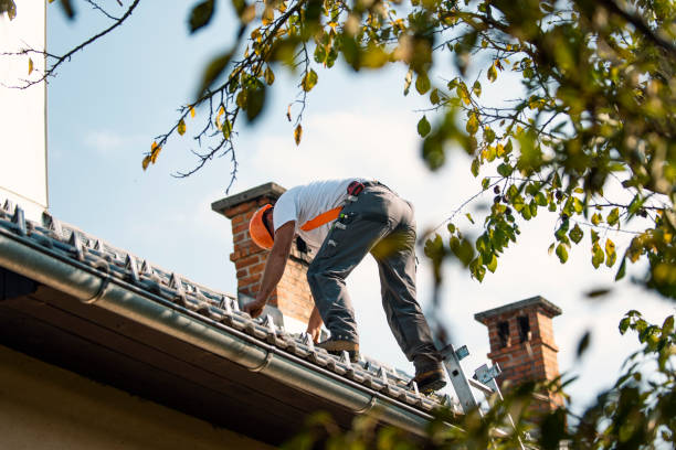 Best Storm Damage Roof Repair  in Rogue River, OR
