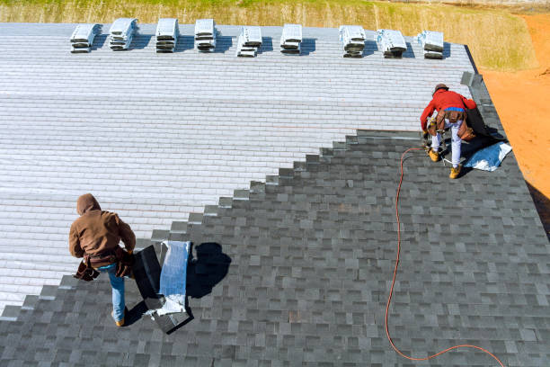 Best Roof Gutter Cleaning  in Rogue River, OR